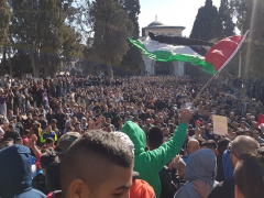 30 مدينة وقرية بفلسطين تنتفض ضد ترامب