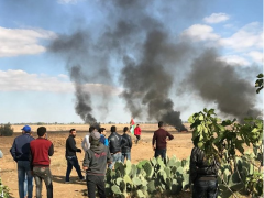 30 مدينة وقرية بفلسطين تنتفض ضد ترامب