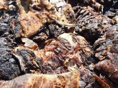 بالصور.. حفل شواء ضخم يدخل موسوعة غينيس