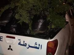 (صور) ضبط سولار مهرب وحشيش