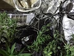 (صور) ضبط سولار مهرب وحشيش