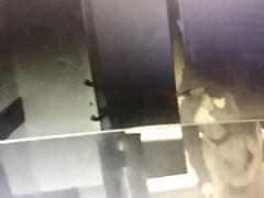 بالصوت | محاولة سرقة لمحل صرافة في بيت ساحور 