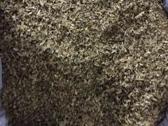 شرطه بيت لحم تضبط 2 كغم مخدرات داخل مقبرة غرب المحافظة .