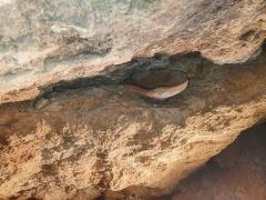 اكتشاف مقبرة أثرية تعود للعصر البرونزي في بيت لحم