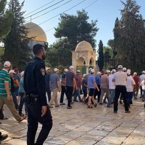 مستوطنون يقتحمون المسجد الأقصى ويؤدون رقصات وصلوات تلمودية