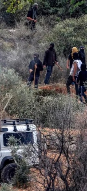 مستوطنون يعتدون على قاطفي الزيتون جنوب نابلس