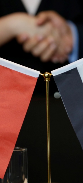مصر والصين تؤكدان مركزية القضية الفلسطينية إقليميا