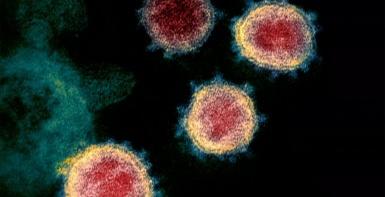 13 خبرا مفرحا عن فيروس كورونا