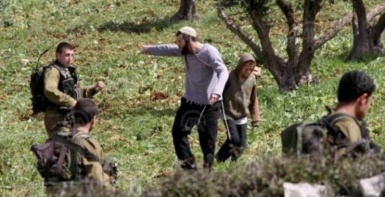 الاحتلال ومستعمروه يهاجمون قاطفي الزيتون في الخضر جنوب بيت لحم