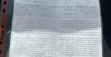 الاحتلال يقتلع مئات أشجار الزيتون ويخطر 20 منزلاً بوقف البناء في تقوع