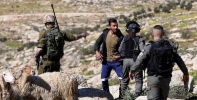 اعتقال مواطن بعد اعتداء مستوطنين على رعاة أغنام في مسافر يطا