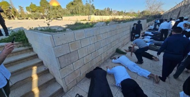 مستعمرون يقتحمون الأقصى ويؤدون السجود الملحمي