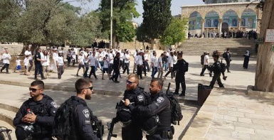 محافظة القدس: شهيدان و5209 مستعمرين اقتحموا الأقصى و40 عملية هدم وتجريف خلال آب