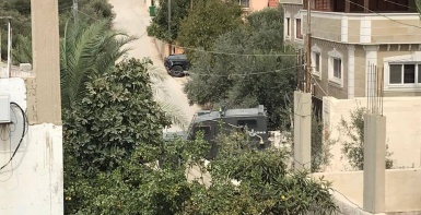 الاحتلال يداهم منتزه في ضاحية شويكة شمال طولكرم ويستولي على حيوانات برية