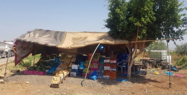 الاحتلال يخطر بإزالة عدد من بسطات الخضار في الأغوار الشمالية
