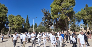(محدث) 1271 مستعمرا يقتحمون المسجد الأقصى المبارك