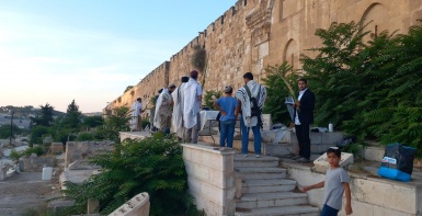 مستعمرون يدنسون مقبرة باب الرحمة المحاذية للمسجد الأقصى