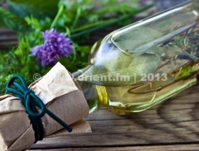 نبتة إكليل الجبل (روزماري)...لعلاج العديد من الأمراض