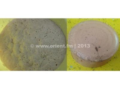 ضبط 450 كغم مرتديلا بداخلها حشرات في نابلس