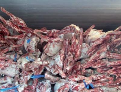 ضبط نصف طن لحم دجاج فاسد برام الله