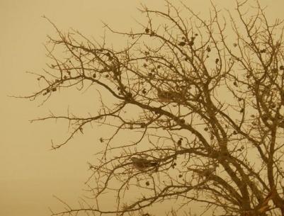 حالة الطقس لليوم السبت 22-2-2014