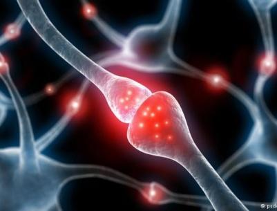 دراسة: كثرة الجلوس تقلل معدل الذكاء وتضر بالمخ