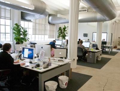 دراسة: النباتات تُسعد الموظفين وتزيد من انتاجهم