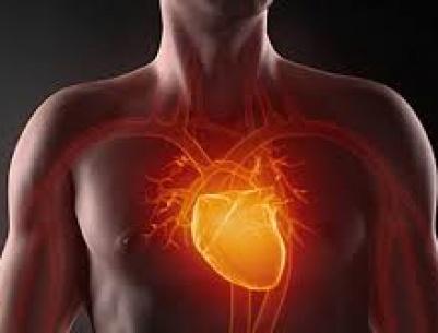 فوائد الصيام على أمراض القلب والأوعية الدموية