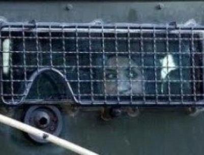 صابرين أبو شرار تعرضت للتعذيب خلال اعتقالها