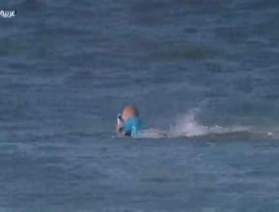 بالفيديو : سمكة قرش تهاجم 