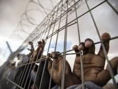 المصادقة على التغذية القسرية