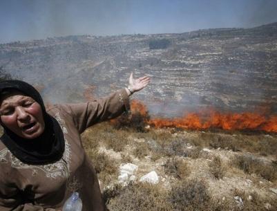 مستوطنون يحرقون أشجار زيتون غرب بيت لحم