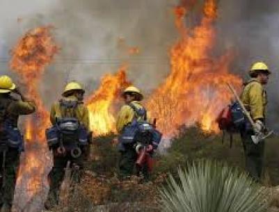 إخماد حريق في منطقة جبلية غرب الخليل
