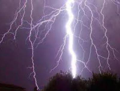 اراد التقاط 