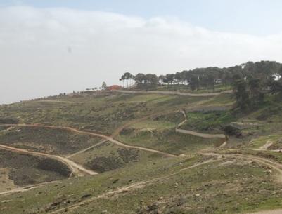 مصادرة 740 دونما من أراضي العيسوية والطور