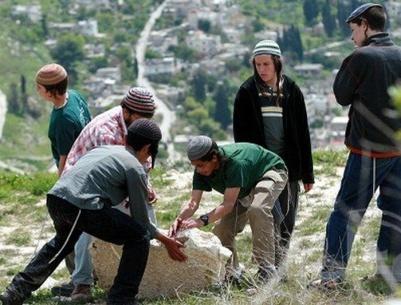 المستوطنون يهاجمون قرية كفر الديك ويقومون بقطع اشجار الزيتون بمحافظة سلفيت