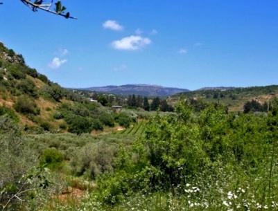 حالة الطقس- توالي ارتفاع درجات الحرارة خلال اليومين المقبلين