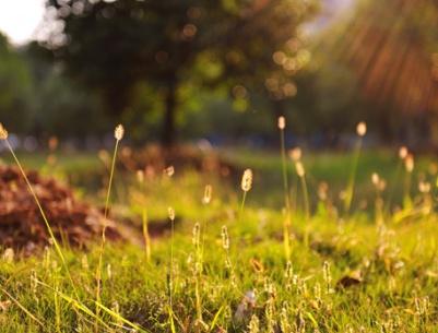 الطقس حتّى الإثنين - فرص مهيّأة لتساقط أمطار محلية