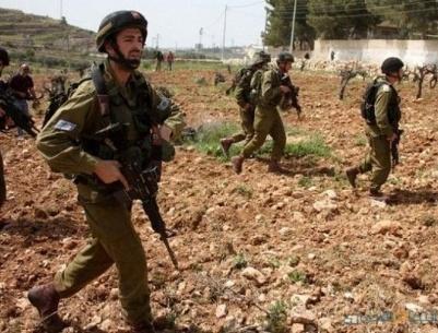 الاحتلال يمنع عشرات المزارعين من الوصول إلى حقول الزيتون في نعلين