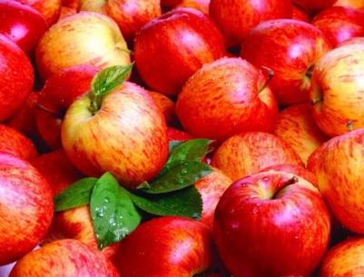 التغذية الصحية مهمة لمرضى السكري