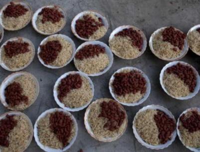 طبق واحد يكشف 