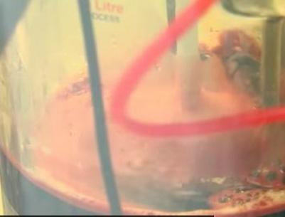 فيديو- علماء روس.. الدم البديل أصبح حقيقة