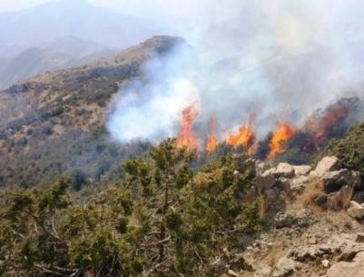 حريق ضخم يلتهم 900 دونم من جبال القدس