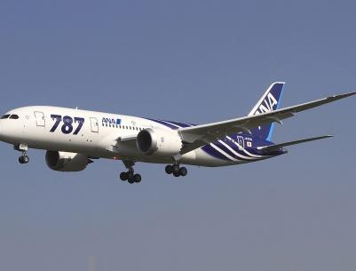 هبوط اضطراري بسبب مشاجرة زوجية عنيفة