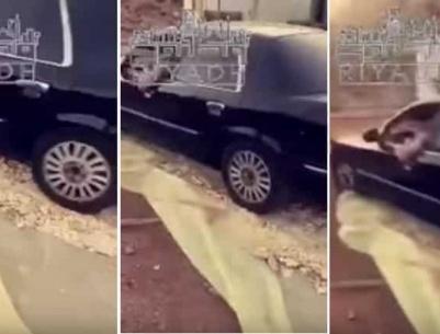 بالفيديو| شاب يدهس الخبز بسيارته يثير استياء المعلقين