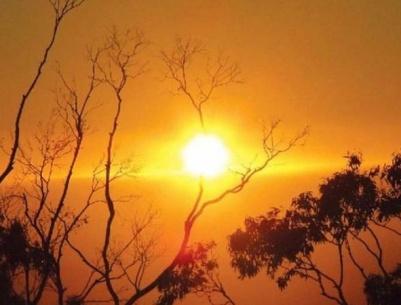 الحرارة تواصل الارتفاع