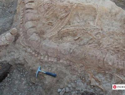 اكتشاف بقايا وحش عاش بالهند قبل 150 مليون سنة