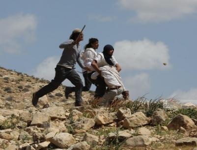 إصابتان باعتداء مستعمرين واعتقال 7 مواطنين في مسافر يطا