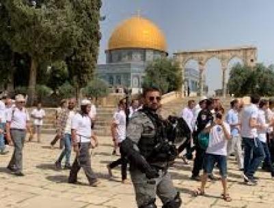 مستعمرون يقتحمون الأقصى