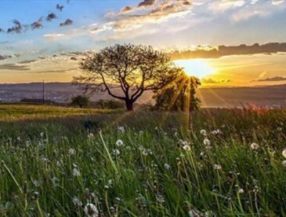 حالة الطقس: أجواء صافية ولا تغير على درجات الحرارة